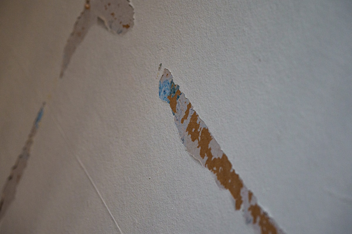 Water Extraction service in Ankeny, IA